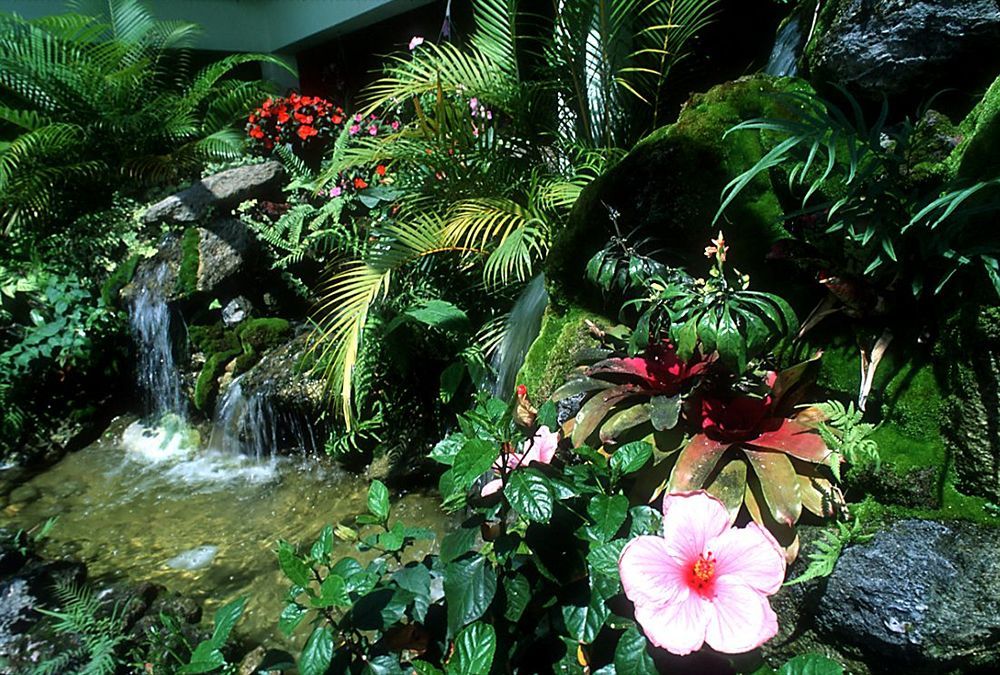 Ivey House Everglades Adventures Hotel Dış mekan fotoğraf